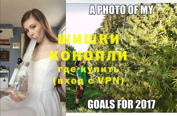 мяу мяу кристалл Корсаков