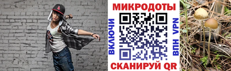 Псилоцибиновые грибы GOLDEN TEACHER  Купить где  Белёв 